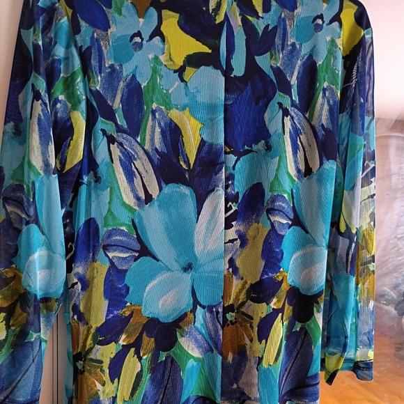 Kate and Lily Womens Sz 14W Green/Blue Floral sheer long sleeve Dress - Picture 10 of 11